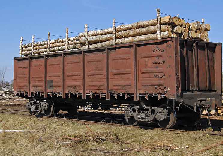 Перевозка Леса по ЖД из Кудымкара в Нижнекамск